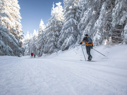 Langlauf im Thüringer Wald