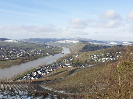 Aussicht ins Moseltal bei Lieser