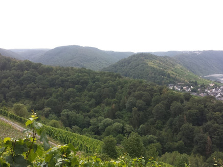 Aussicht vom höchsten Punkt der Wanderung