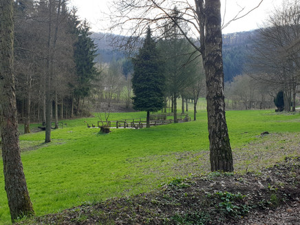 Waldabschnitt in der Nähe des Wassertretbeckens