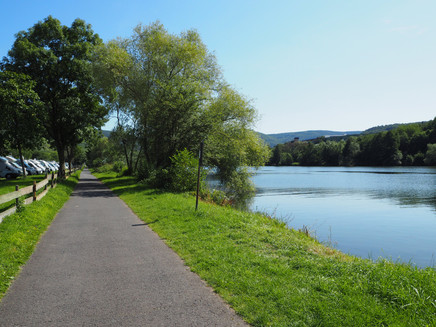 Bike path on the Moselle riverbank near Graach