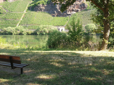 Mosel riverbank near Erden