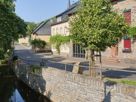 The Fronbach in Burgen