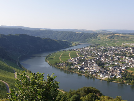 Ausblick auf die Moselloreley und die Gemeinde Piesport