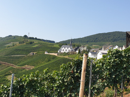 Blick vom Ortsrand in Monzel auf die Kirche