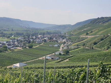 Blick auf den Ort Kesten und die Weinberge