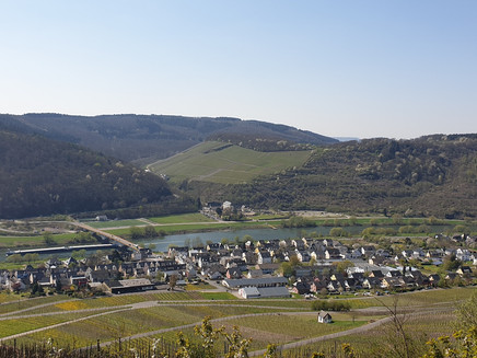 Zeltingen-Rachtig and the Machern Monastery