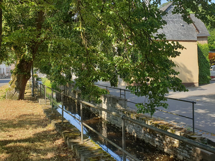 The Fronbach in Burgen