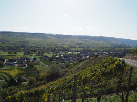 View from Monzel to Kesten