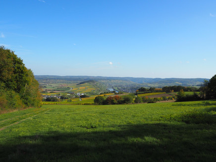 View along the route of the Moselle Valley