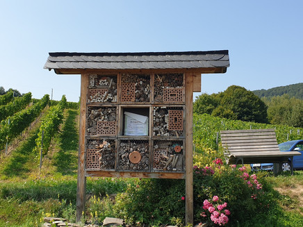 Insect hotel at the Ruheinsel