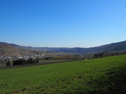 View of Lösnisch and Kinheim