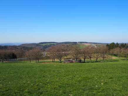Wald- und Wiesenlandschaft des Hunsrücks