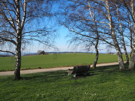 Rest bench near Longkamp
