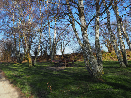 Resting opportunity under the trees near Longkamp