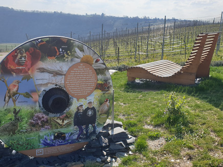 Rastplatz mit Insektenhotel