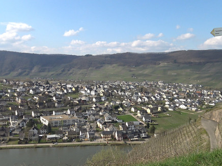 Blick von der Kapelle auf Piesport