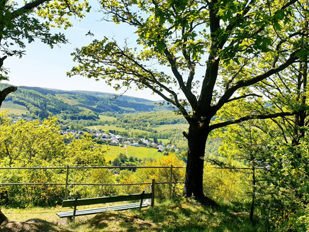 Rast mitten in der Natur