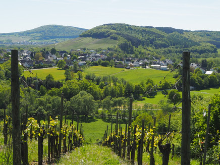 Inmitten von Weinbergen und Wiesen