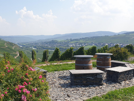 Peaceful island near Osann-Monzel