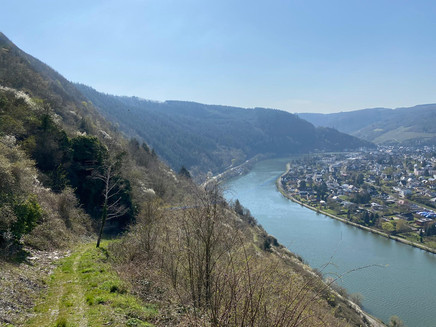 Fußpfad Steillagenwanderweg