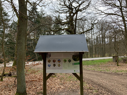 Informationstafel zum Wald