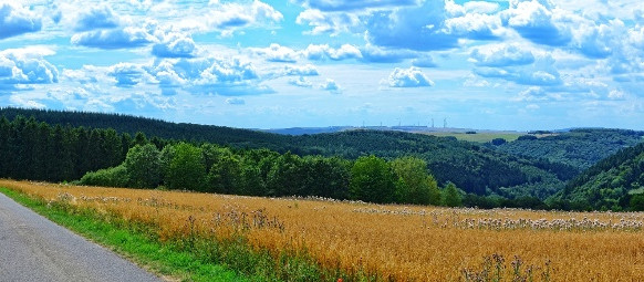 Osburger Panoramaweg im Naturpark Saar-Hunsrück