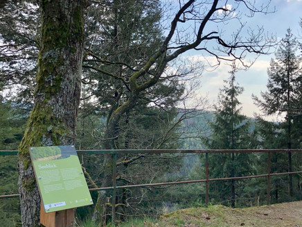 Seeblick am Osburger Panoramaweg