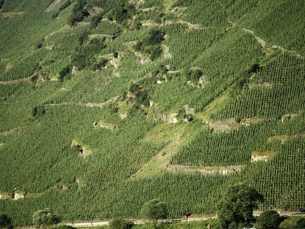 Steilhang