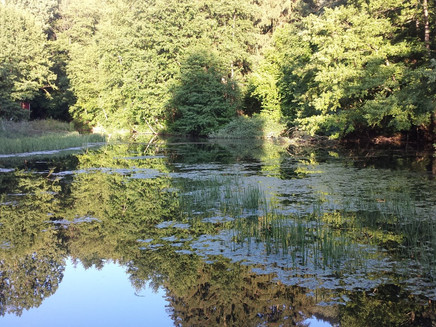 Ehemaliges Schwimmbad im Großbachtal