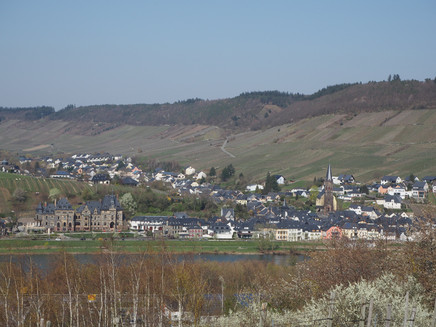 Ausblick vom Helenkloster auf Lieser
