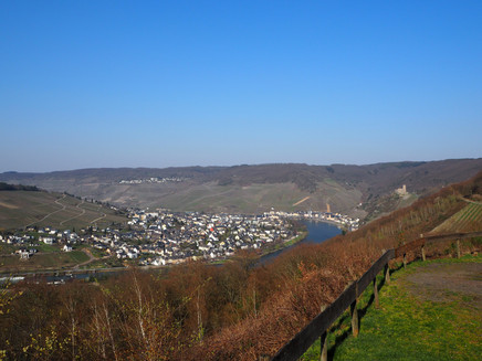 Ausblick von der Schutzhütte auf Bernkastel-Kues