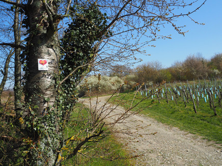 Beschilderung entlang der Strecke
