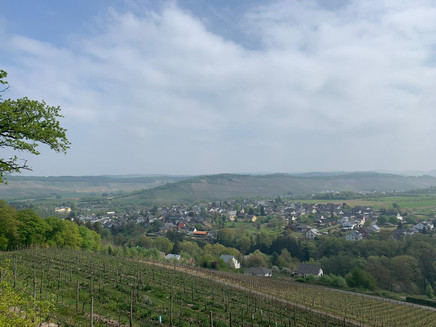 Ausblick auf Maring-Noviand