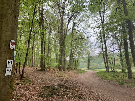 Wegbeschilderung entlang des Weges