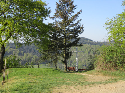 Plantert Kreuz oberhalb von Zeltingen-Rachtig