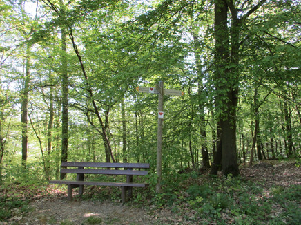 Rast inmitten der Natur