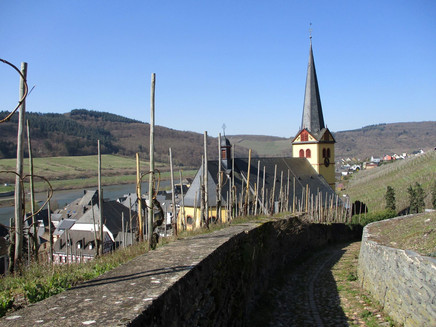 Blick auf die Kirche St. Stephanus