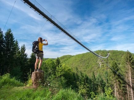 Unter der Hängeseilbrücke Geierlay