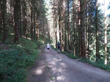 Auf der Geierlayschleife