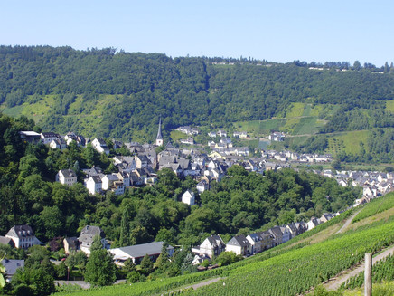 Blick auf Enkirch vom Weinbaulehrpfad