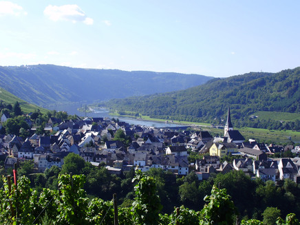 Aussicht auf Enkirch von der Weinlage