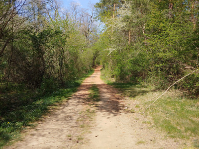 Kurzer Anstieg auf dem Weg nach Halberstadt