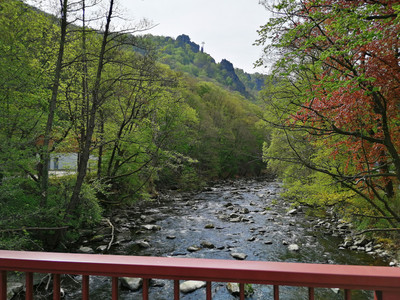 Romantic Bode Valley