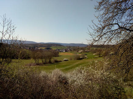 Pohlbach
