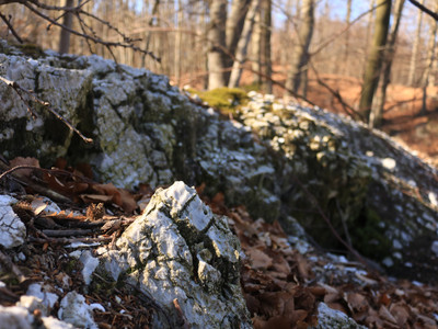 open gypsum in the forest near Questenberg