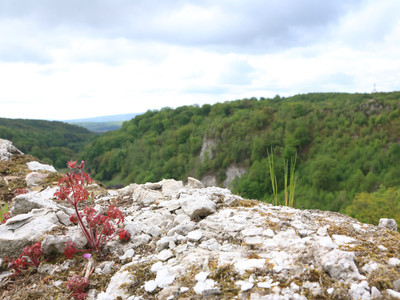 Wall of Questenburg