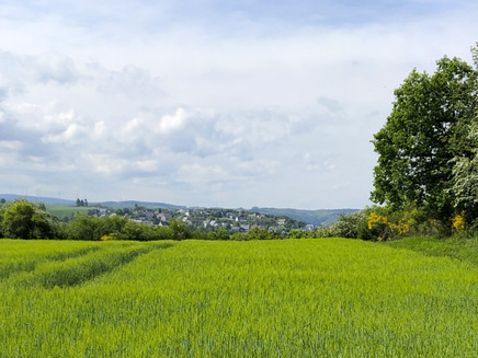 E4-Wanderweg, Blick auf Starkenburg