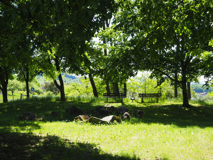Rastbänke am Ortsausgang von Klausen