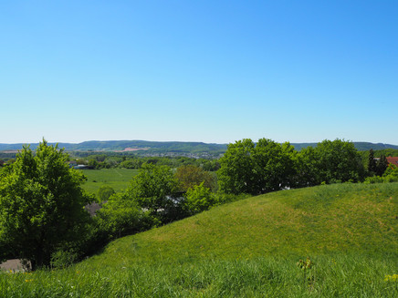 Weite Wiesen- unf Felderlandschaft